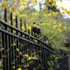 100 railing flowers