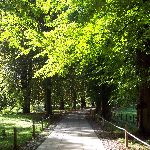 Footpath to King's College 150x150