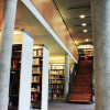 Library stairs 100x100