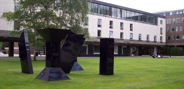 Sidgwick Site grass 590x288
