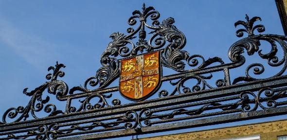 crest 590x288 crest 590x288