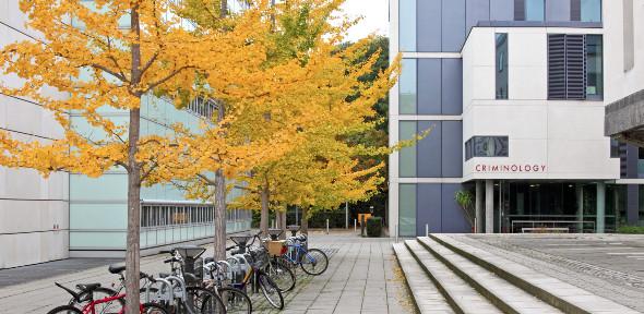 Criminology Building trees bikes 590x288