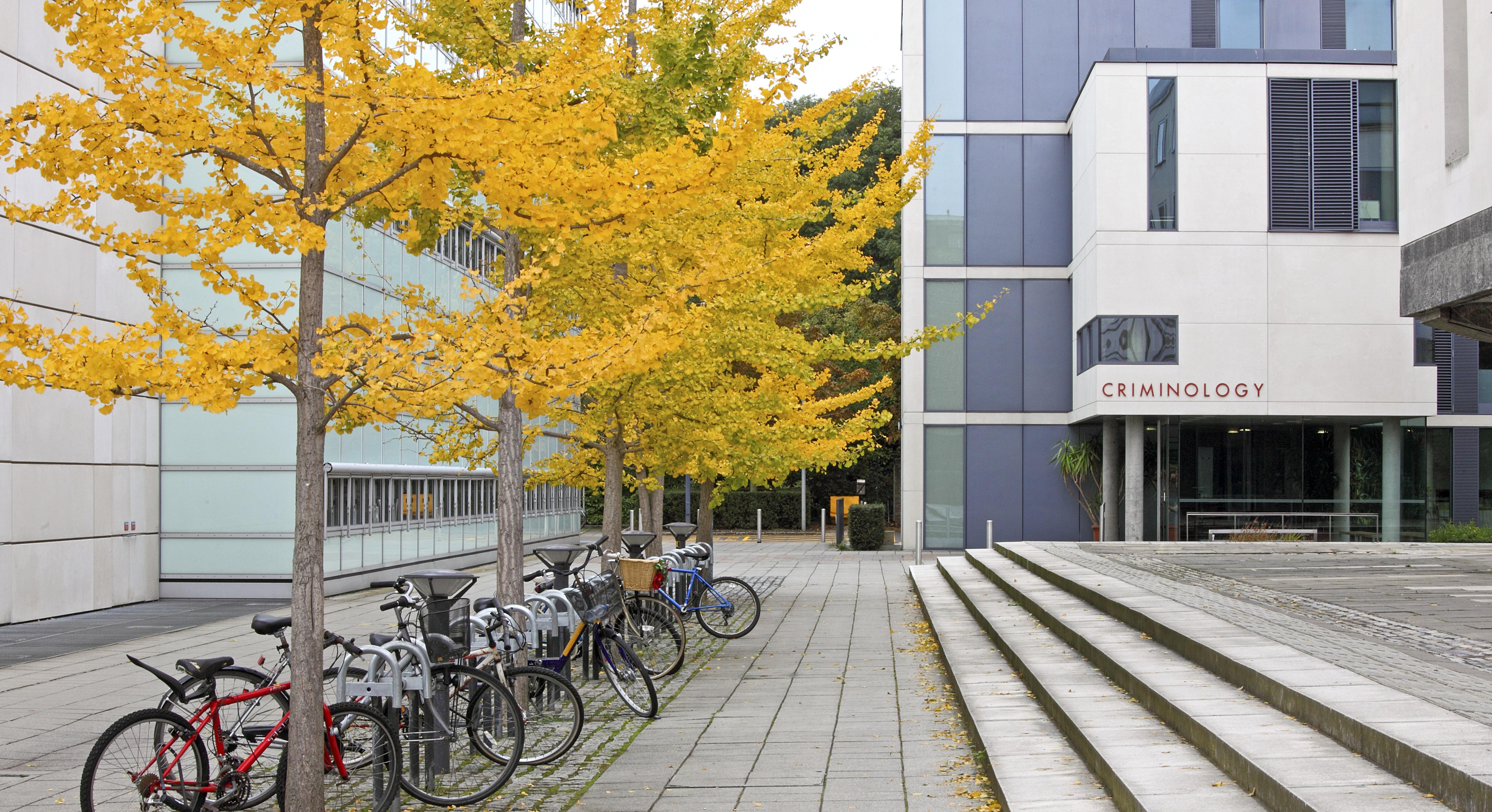 The Institute of Criminology Image of Institute of Criminology
